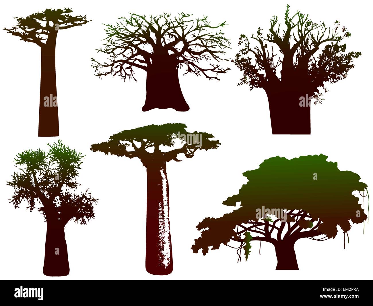 Silhouetten von verschiedenen afrikanischen Bäume und Sträucher Stock Vektor