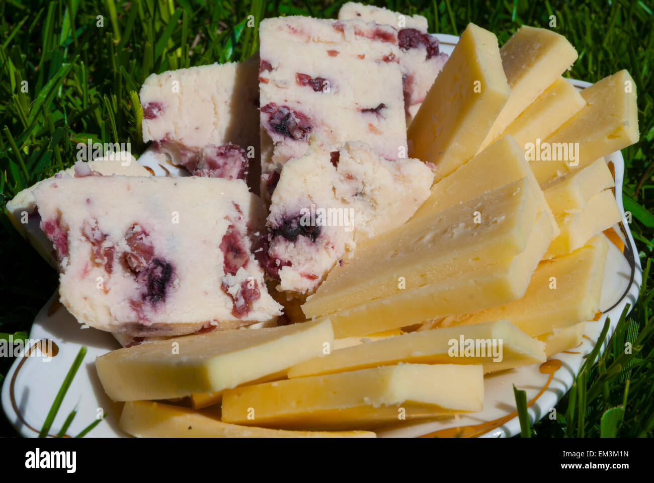 Gelb und Käse mit Preiselbeeren serviert auf dem Rasen Stockfoto