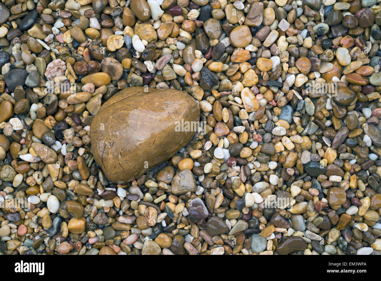 Nahaufnahme eines großen Stein unter kleinen Steinen Stockfoto