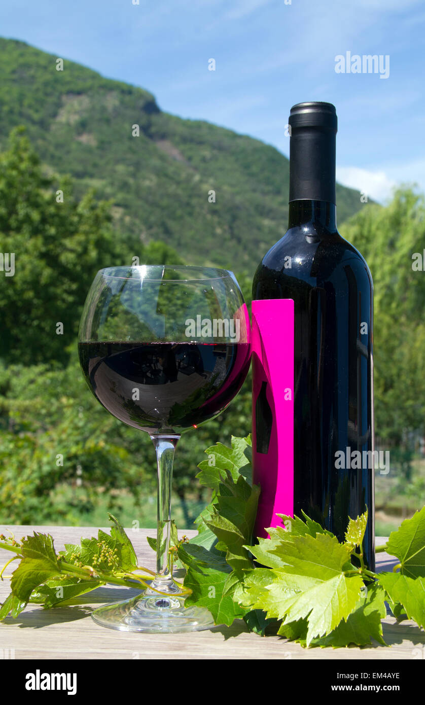 Flasche Rotwein mit Glas im freien Stockfoto