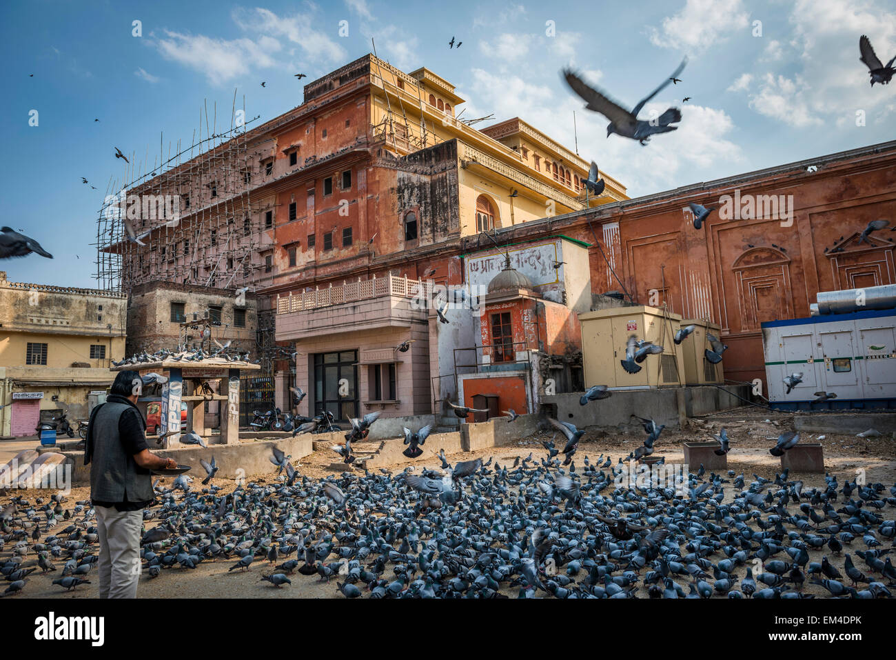 Stadtplatz in Jaipur, Rajasthan, wo Leute kommen, um Angebote zu den lokalen Tauben als Glücksbringer zu machen. Stockfoto