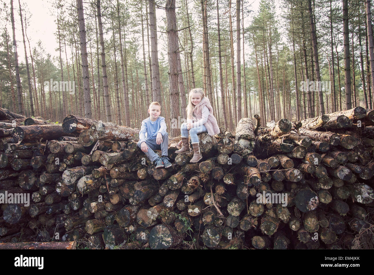 Geschwister, junge, Mädchen, Wald, Protokolle, rustikal, Spaß, Bäume, sitzen, Urlaub, Wandern, Boho, Stockfoto