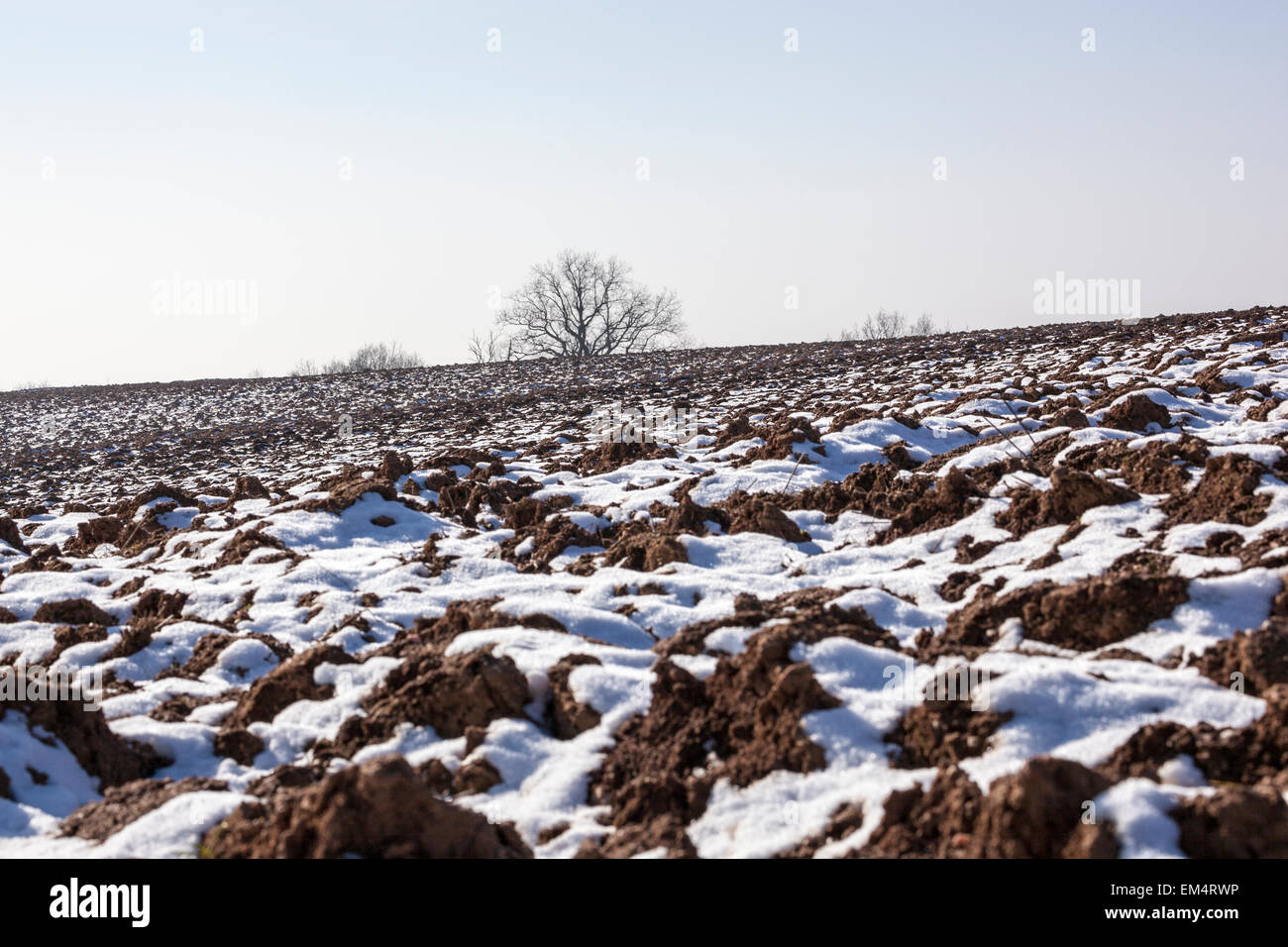 Geräumte Schnee überdachten Bereich mit Bäumen am Horizont Stockfoto