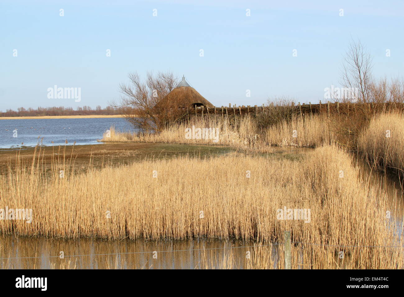 Berühmte Vogelbeobachtung Kabine Ezumakeeg Zuid am Lauwersmeer National Park in Ezumazijl, Niederlande Stockfoto