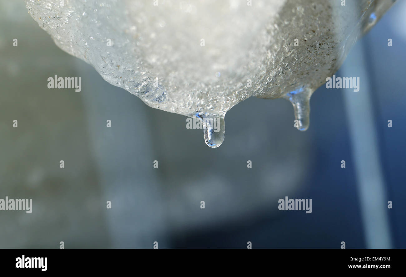 Schöne weiße eine Eis fotografiert hautnah Stockfoto