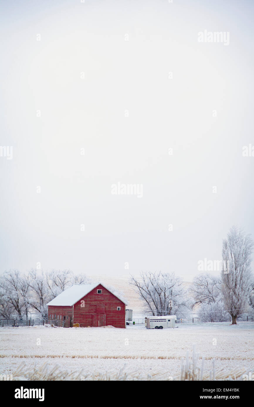 Rote Scheune im Winter; Walla Walla, Washington State, USA Stockfoto