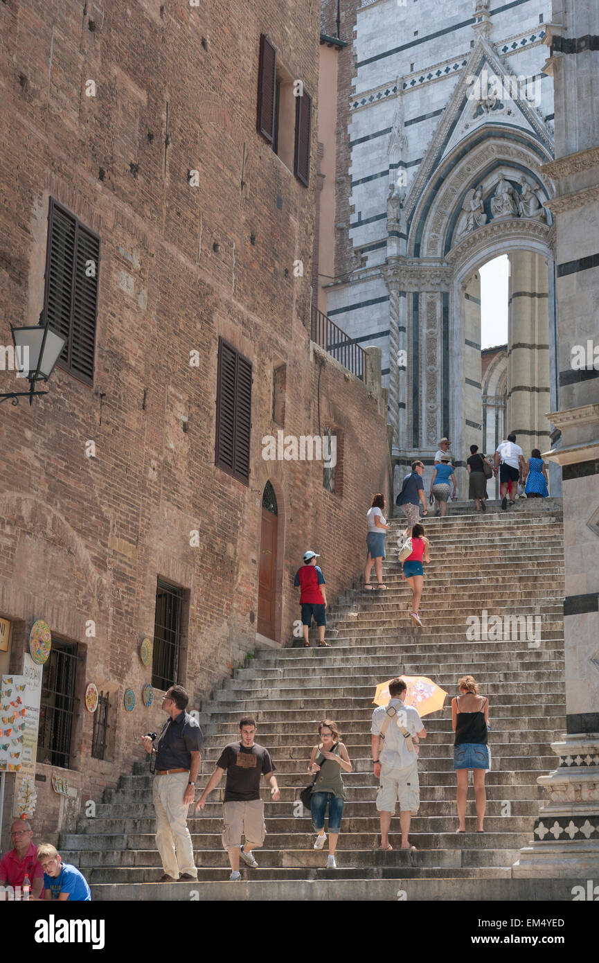 Italien Reisen, Blick im Sommer von Touristen steigt die Treppe zum westlichen Ende des Doms (Kathedrale) in Siena, Toskana, Italien. Stockfoto