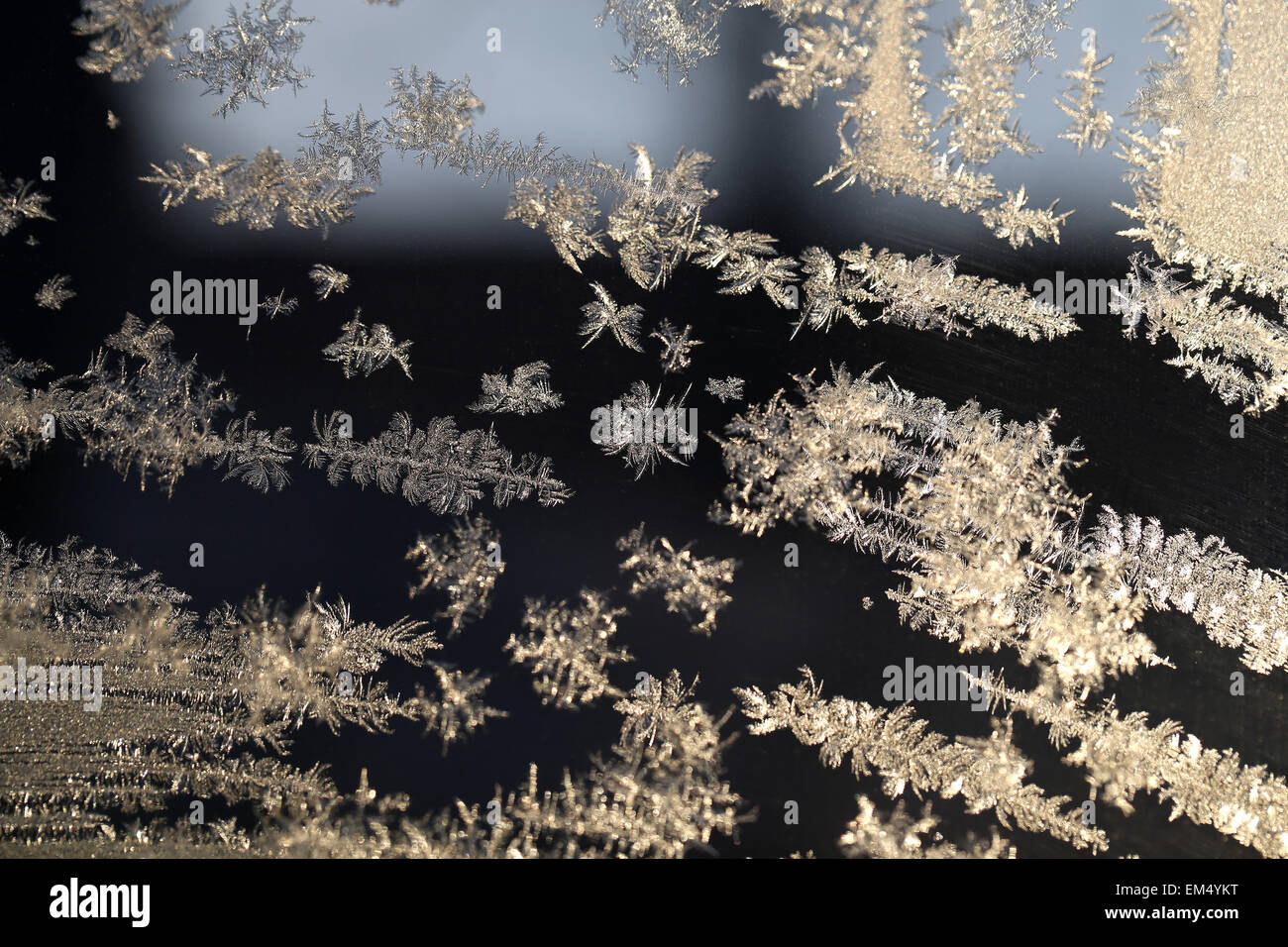 Schneeflocken gefrorenem Glas Windows fotografierte hautnah Stockfoto