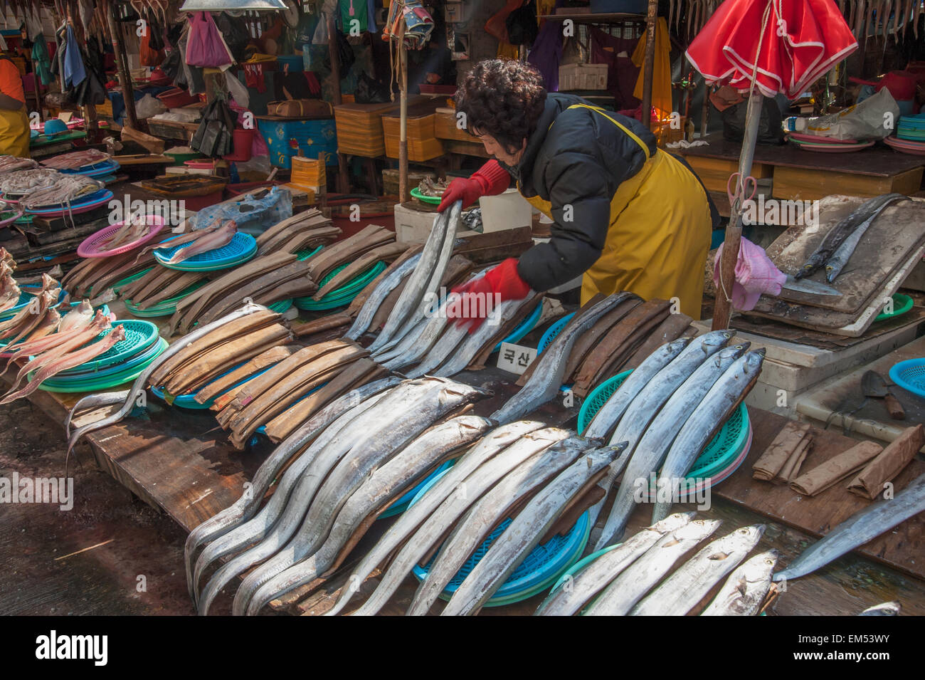 Südkorea, Pusan, Frau sortieren Fisch auf dem Display am Fischmarkt Stockfoto