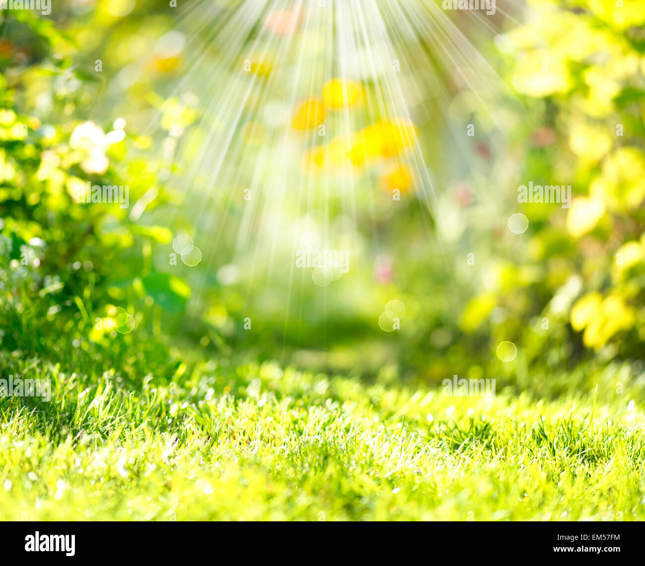 Natur Frühling unscharf Hintergrund mit Sonnenstrahlen Stockfoto