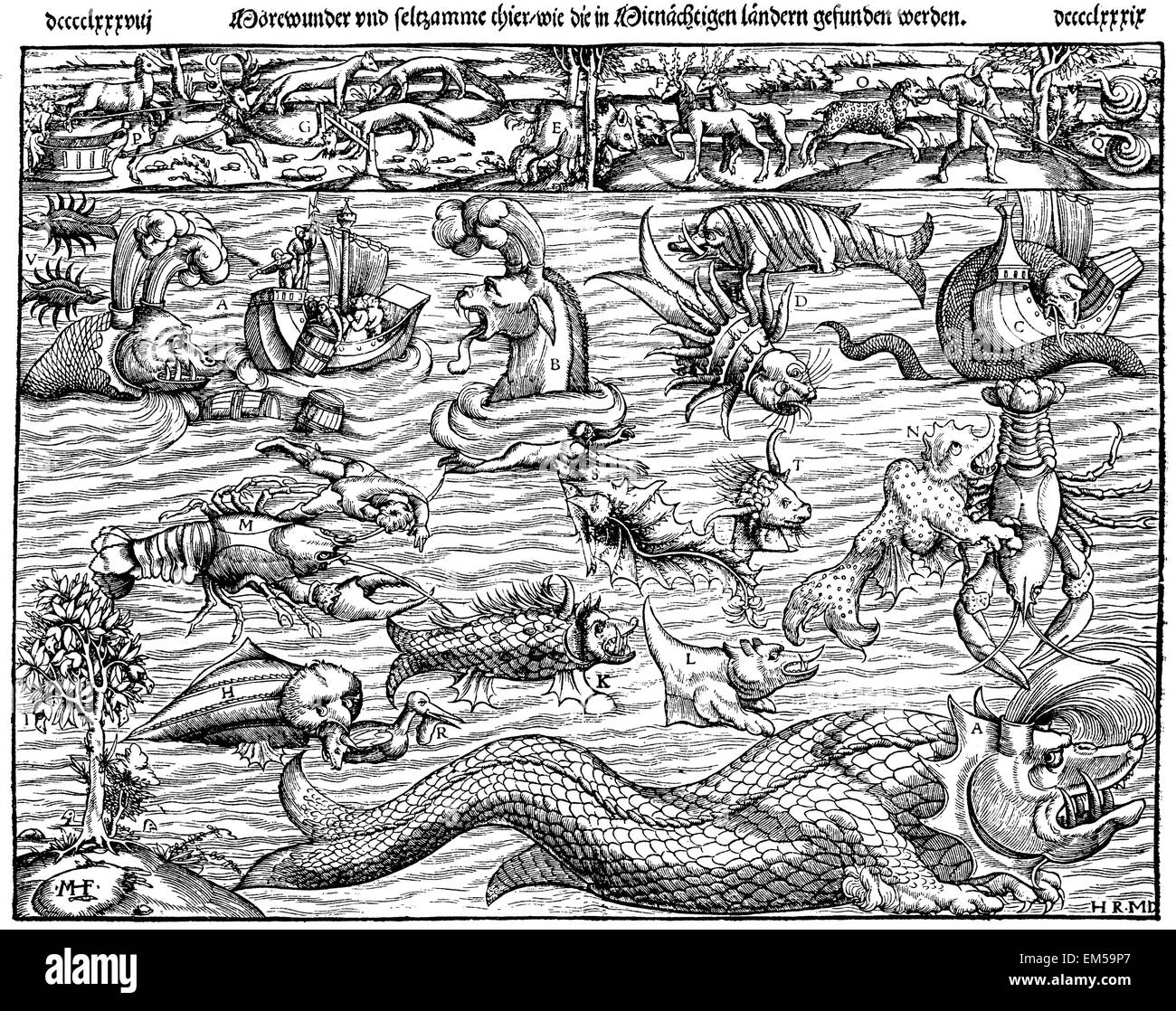 Meer-Wunder und seltenen Kreaturen. Faksimile von einem Holzschnitt in Sebastian Münsters Cosmographia, gedruckt in Basel durch Henricum Petri, 1550 Stockfoto