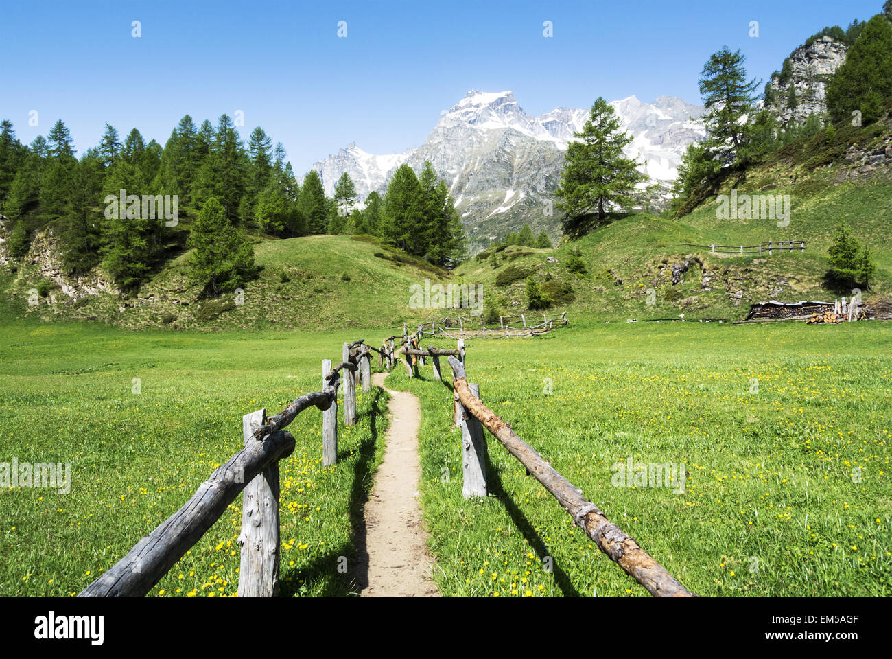 Devero Alp nahe dem Dorf Crampiolo Piemont - Italien Stockfoto