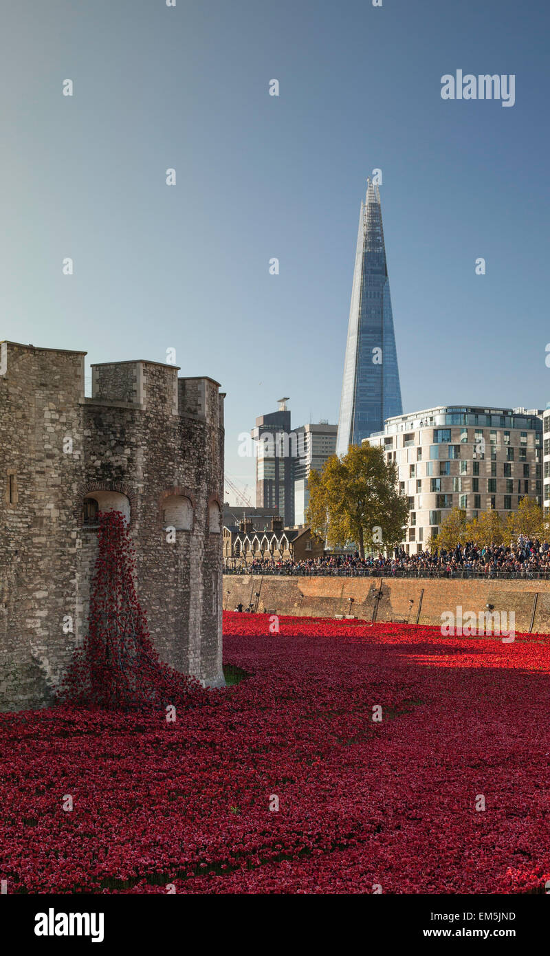 Ein Meer von roten Mohnblumen am Tower of London, UK. Stockfoto