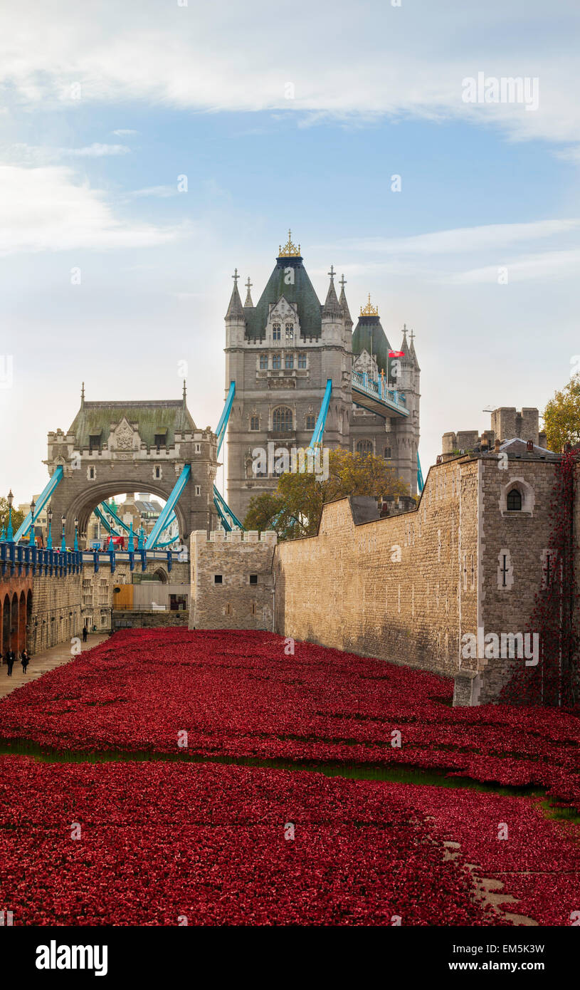 Ein Meer von roten Mohnblumen am Tower of London, UK. Stockfoto