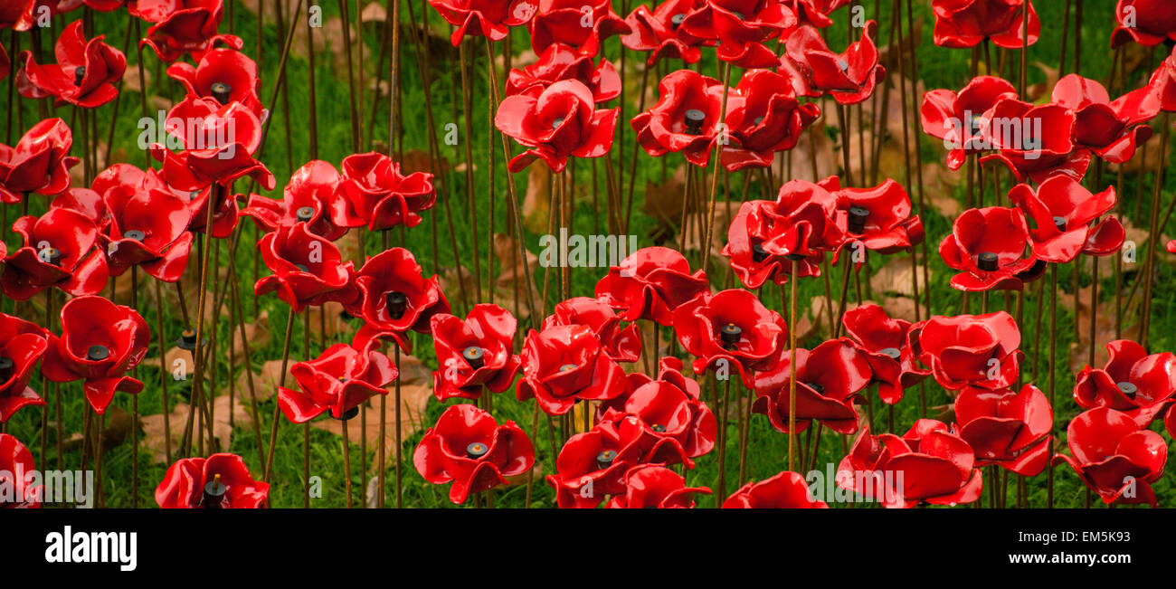Eine Nahaufnahme der Keramik Mohnblumen am Tower of London, UK. Stockfoto