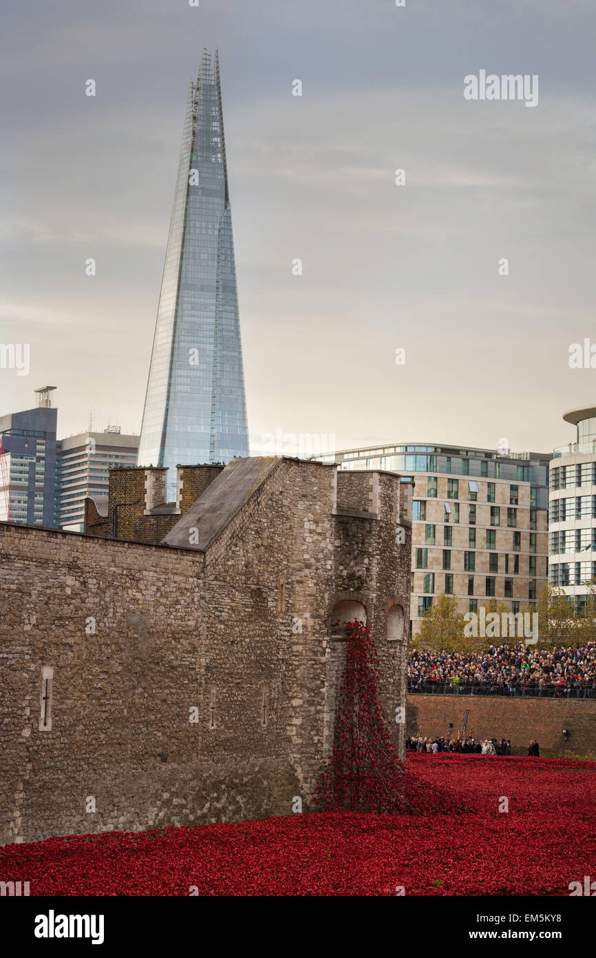 Ein Meer von roten Mohnblumen am Tower of London, UK. Stockfoto