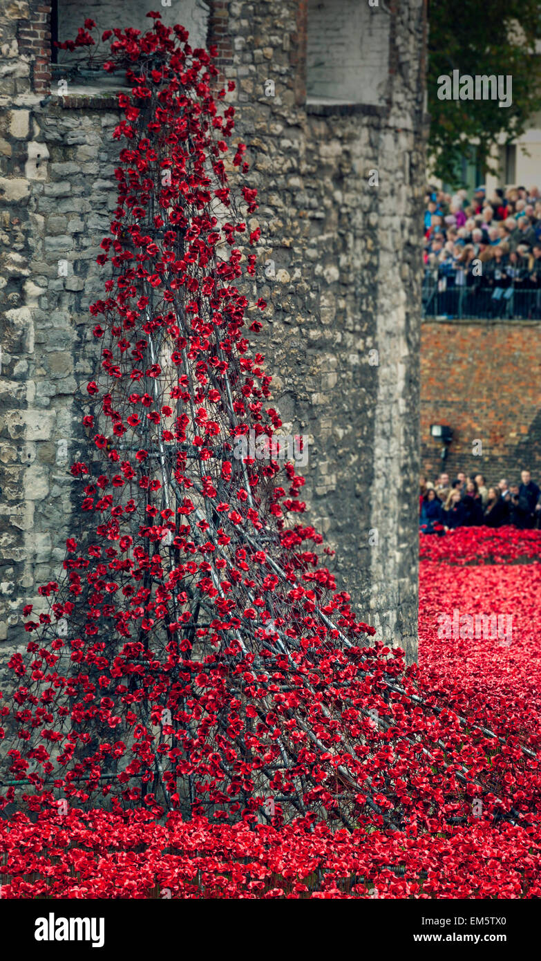 Ein Wasserfall aus Keramik Mohnblumen am Tower of London, UK. Stockfoto