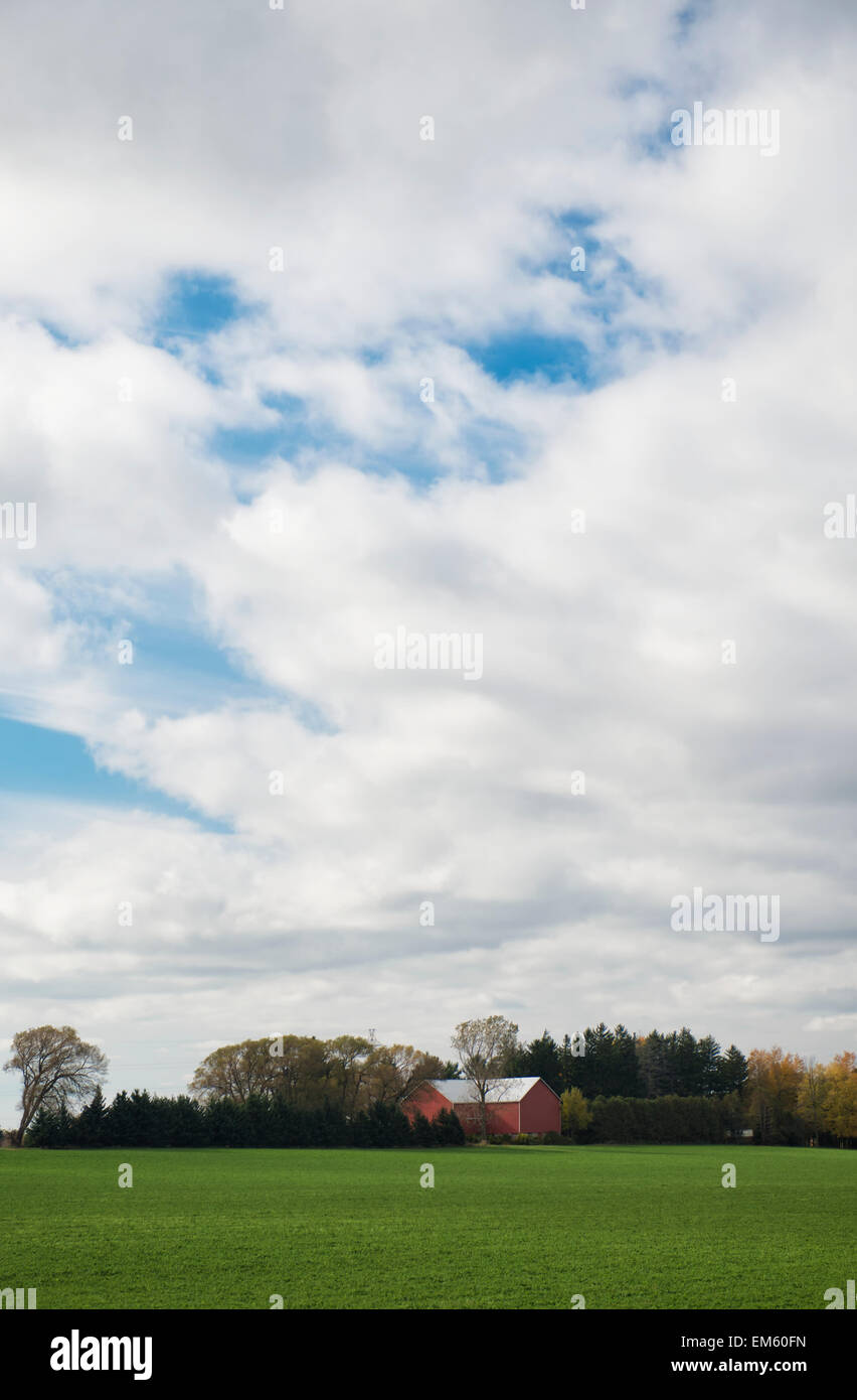 Kanada, in der Nähe von London; Ontario, Ackerland und rote Scheune Stockfoto