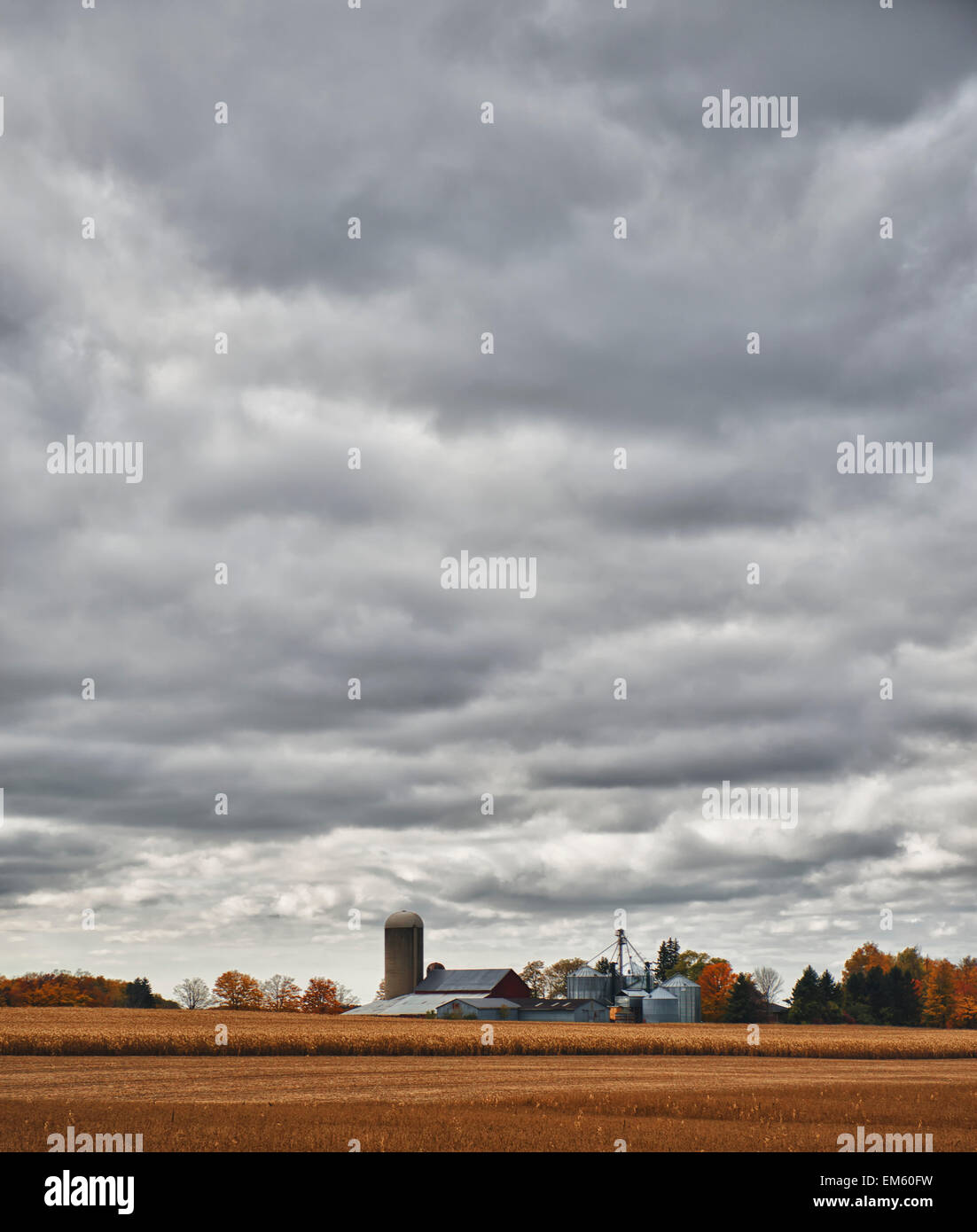 Kanada, in der Nähe von London; Ontario, Ackerland und landwirtschaftlichen Strukturen unter bewölktem Himmel Stockfoto