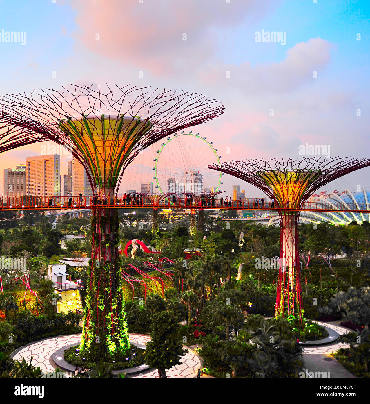 Gärten an der Bucht in der Abenddämmerung in Singapur. Stockfoto