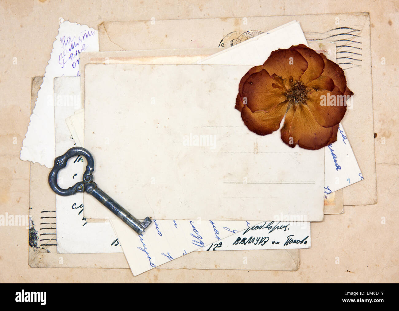 alte Briefe, leere Postkarten und getrocknete rose Stockfoto