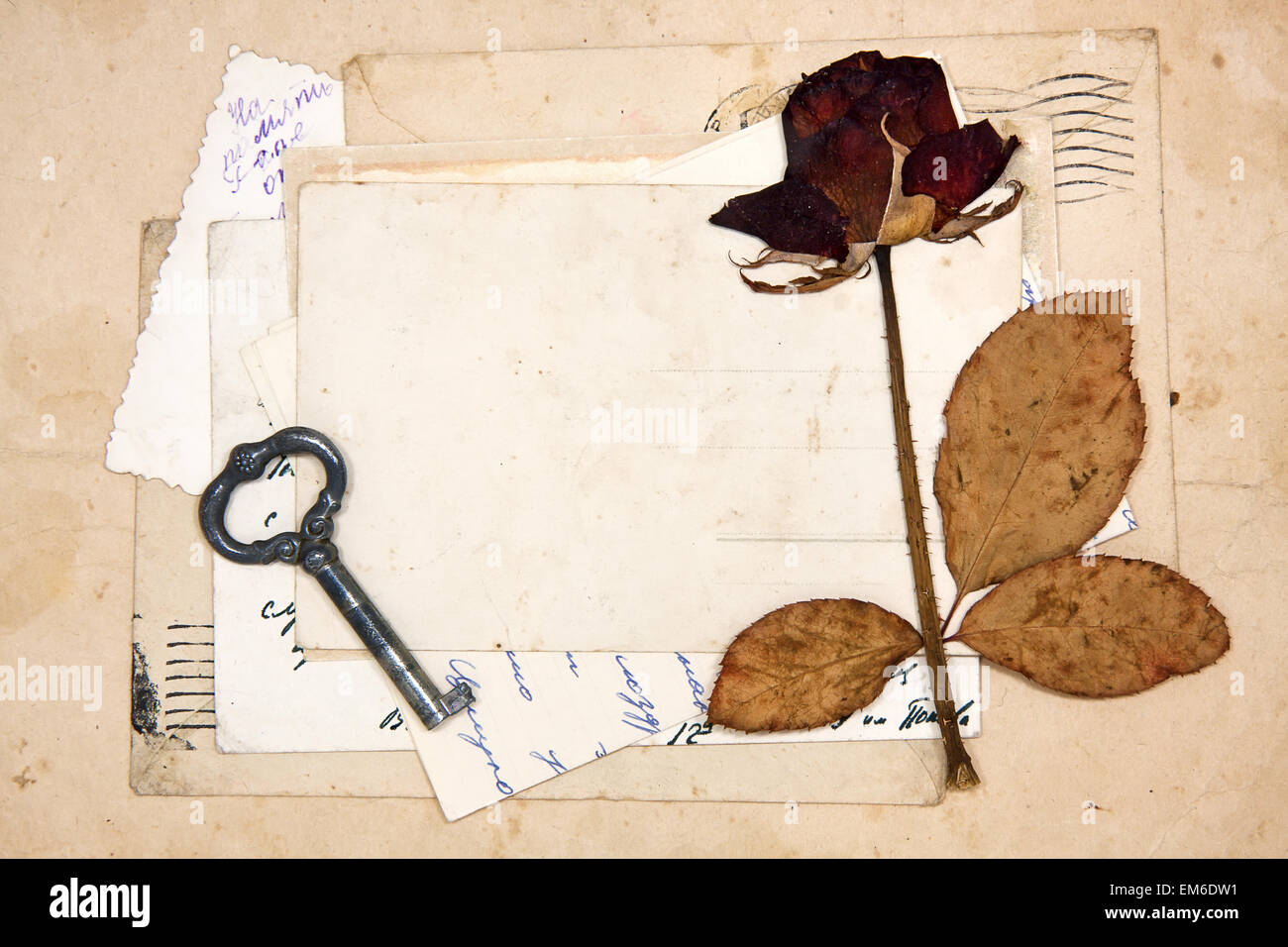 alte Briefe, leere Postkarten und getrocknete rose Stockfoto