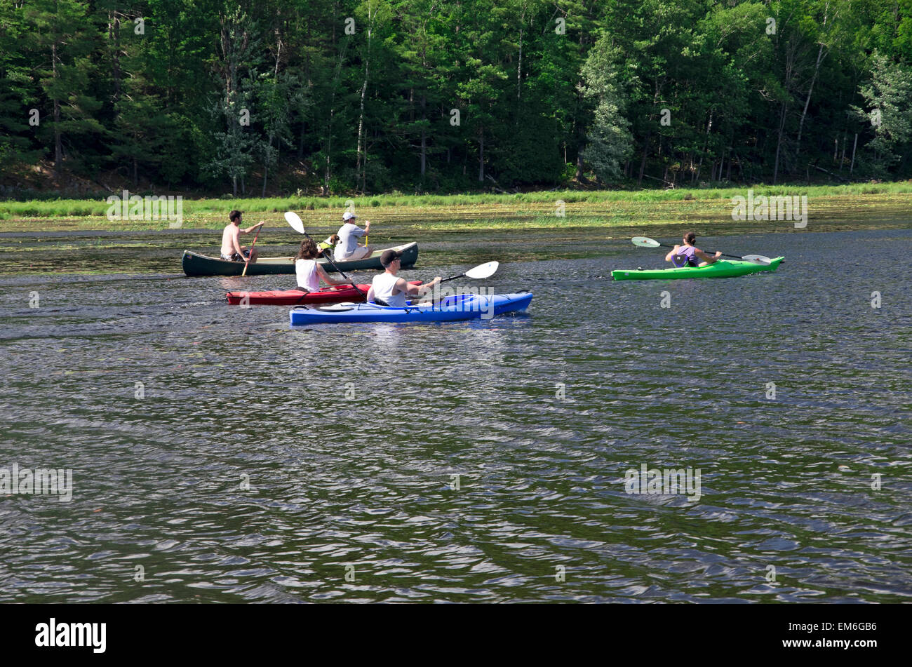 Paradox-See, 3 einzelne Kajaks und eine doppelte Kanu paddeln Seeufer entlang. New York Stockfoto