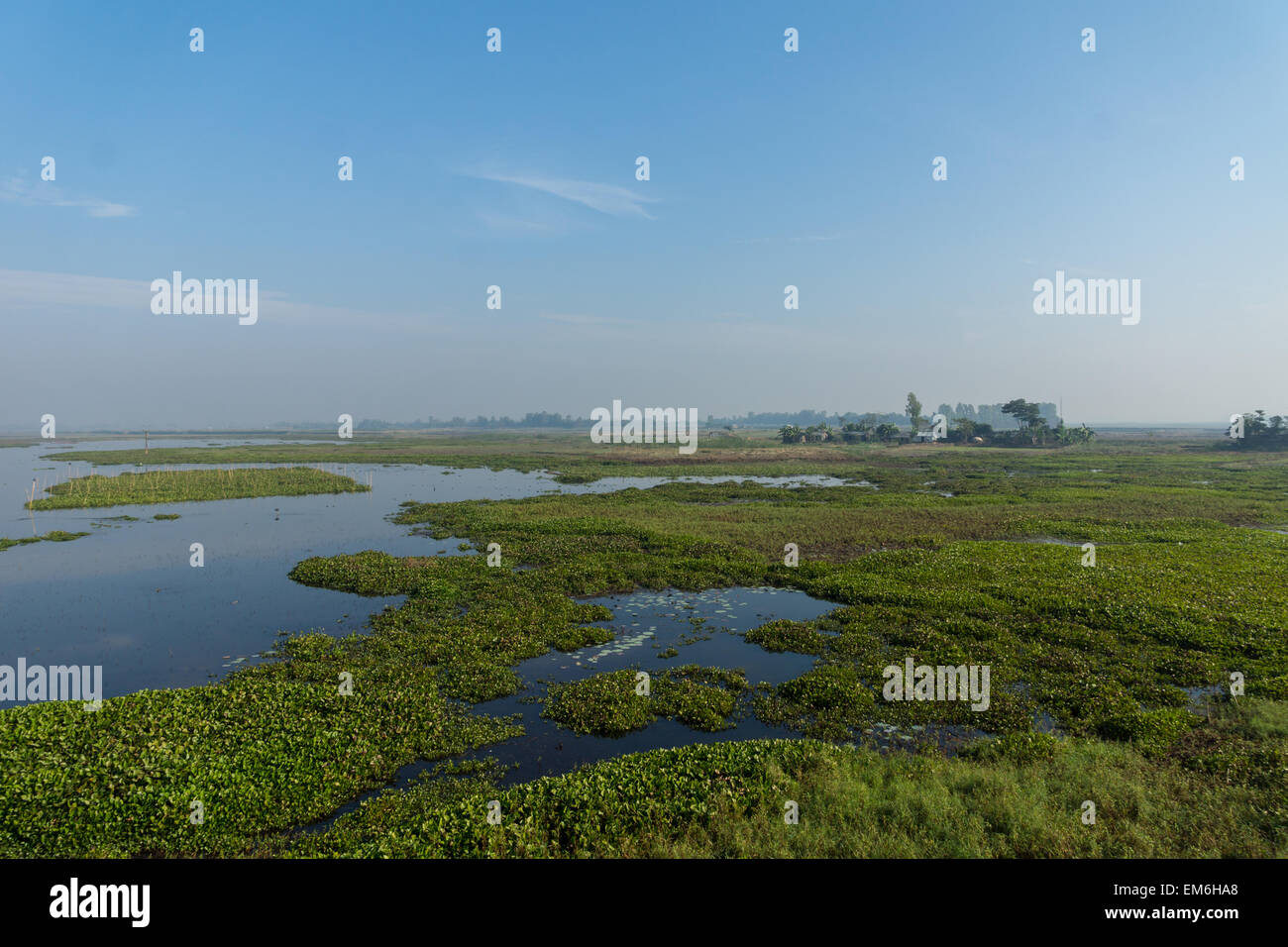 Vogel-Naturschutzgebiet in Bangladesch Stockfoto