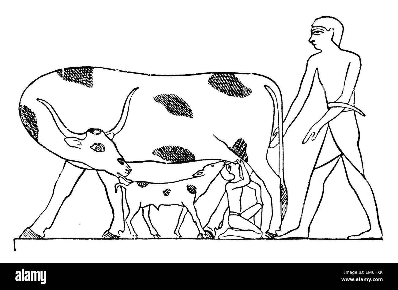 Alt-ägyptische junge zusammen mit an das Euter einer Kuh ein Kalb saugen. Laut Witkowski Stockfoto