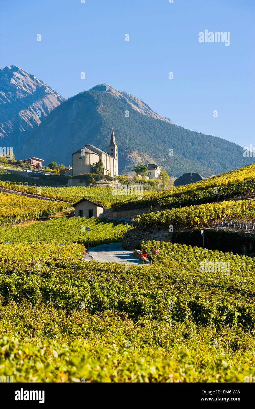 Schweiz, Wallis, Weinberge; Saint-Séverin Stockfoto