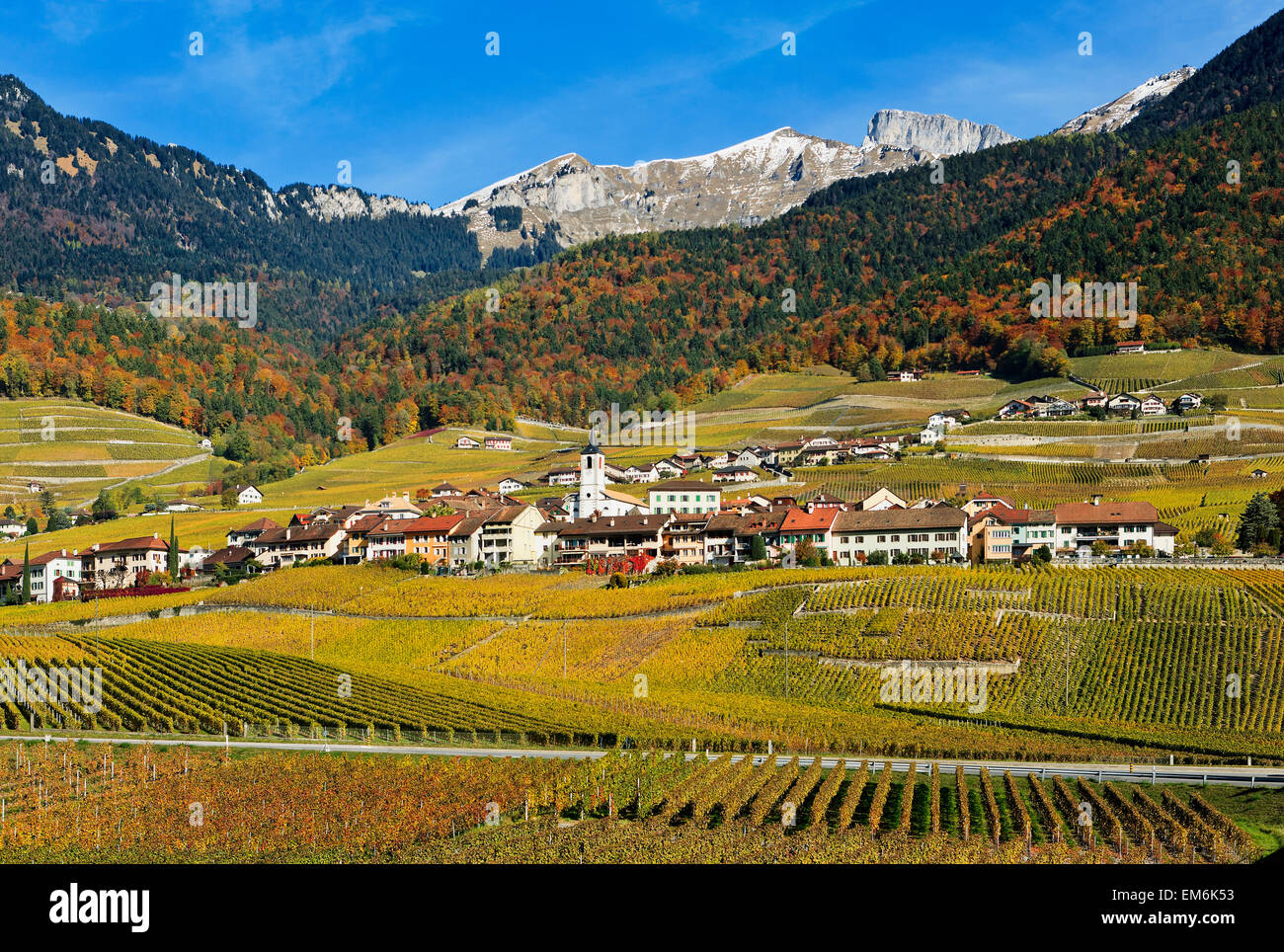Schweiz, Weinberge; Yvorne Dorf Stockfoto