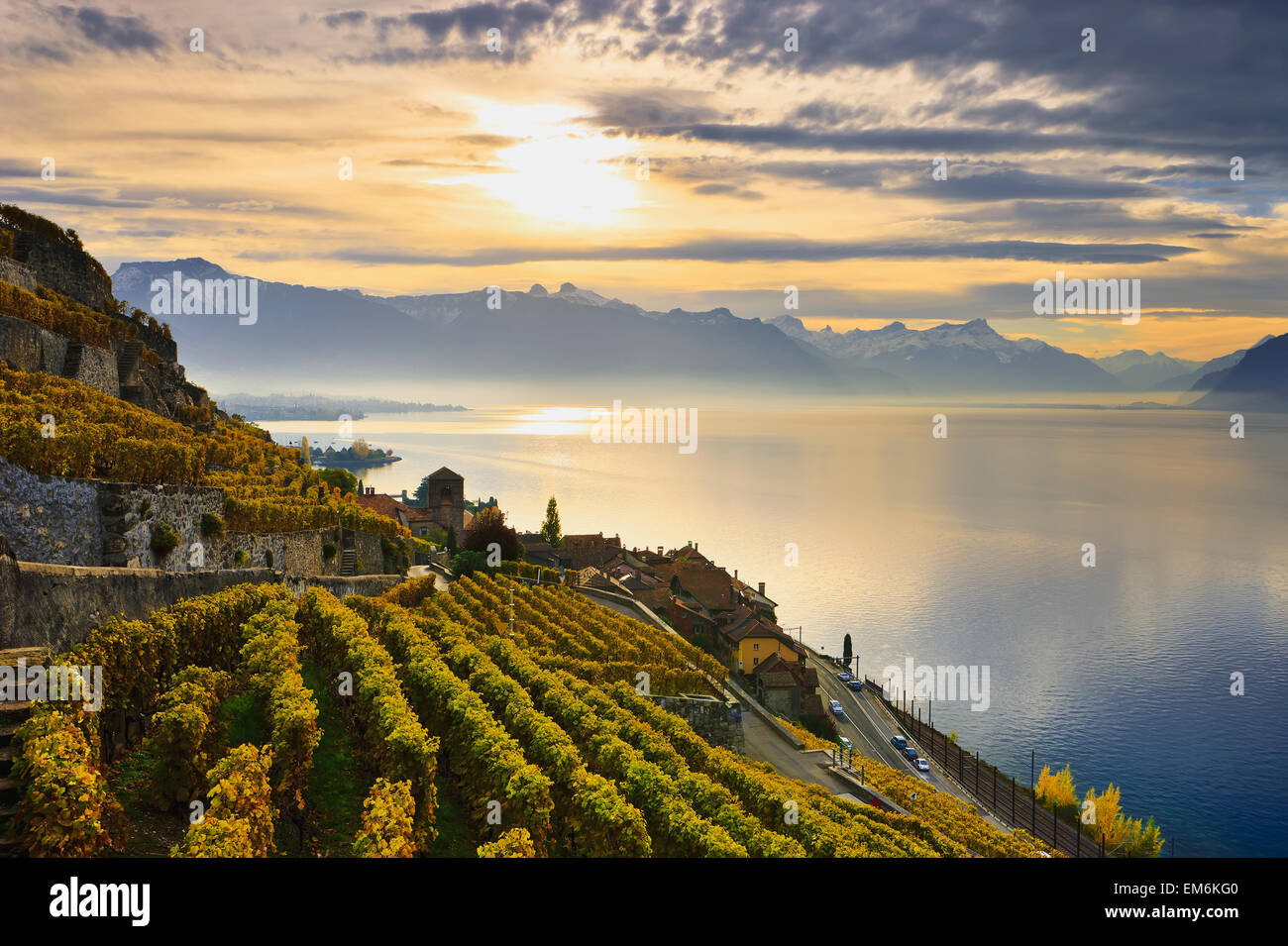 Schweiz, Lavaux Unesco World Heritage Region, Weinberge; Saint-Saphorin Stockfoto