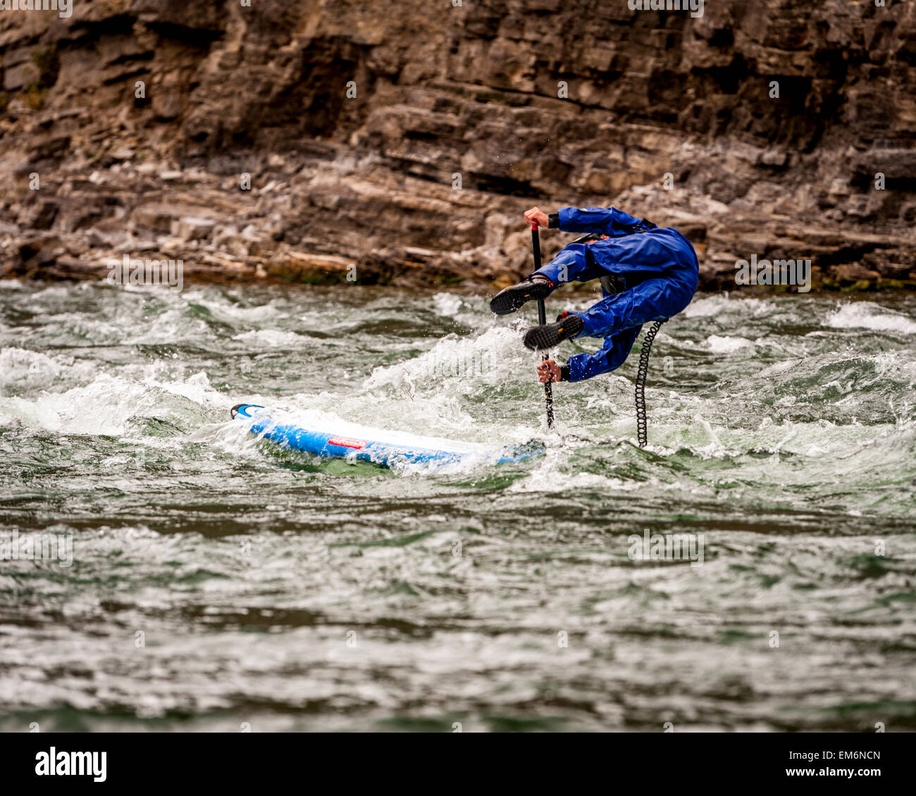 Ein Mann Fallling aus seinem SUP-Board auf dem Snake River, WY Stockfoto