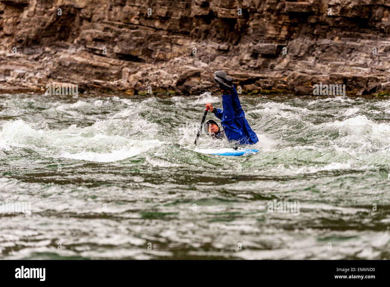 Ein Mann Fallling aus seinem SUP-Board auf dem Snake River, WY Stockfoto