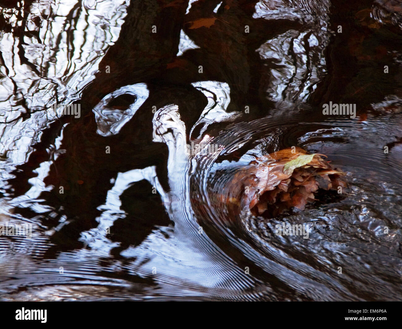 Face To Face, Rhode Island, Bristol, Blithewood, Blätter und Wasser Reflexionen. Stockfoto