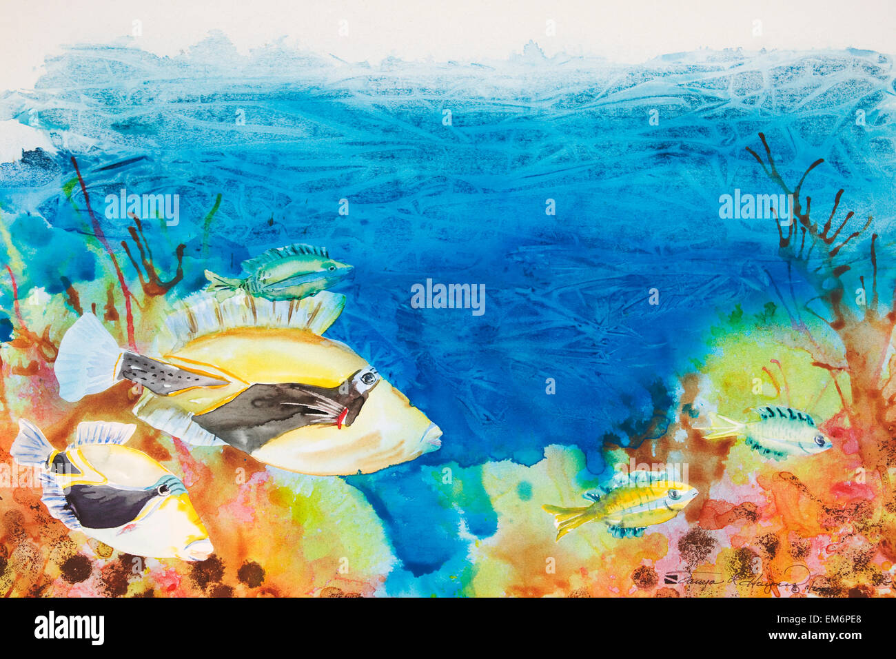 Hawaiian Druckerfisch Hawaii State Fish Tropischen Riff Szene Aquarell Stockfotografie Alamy
