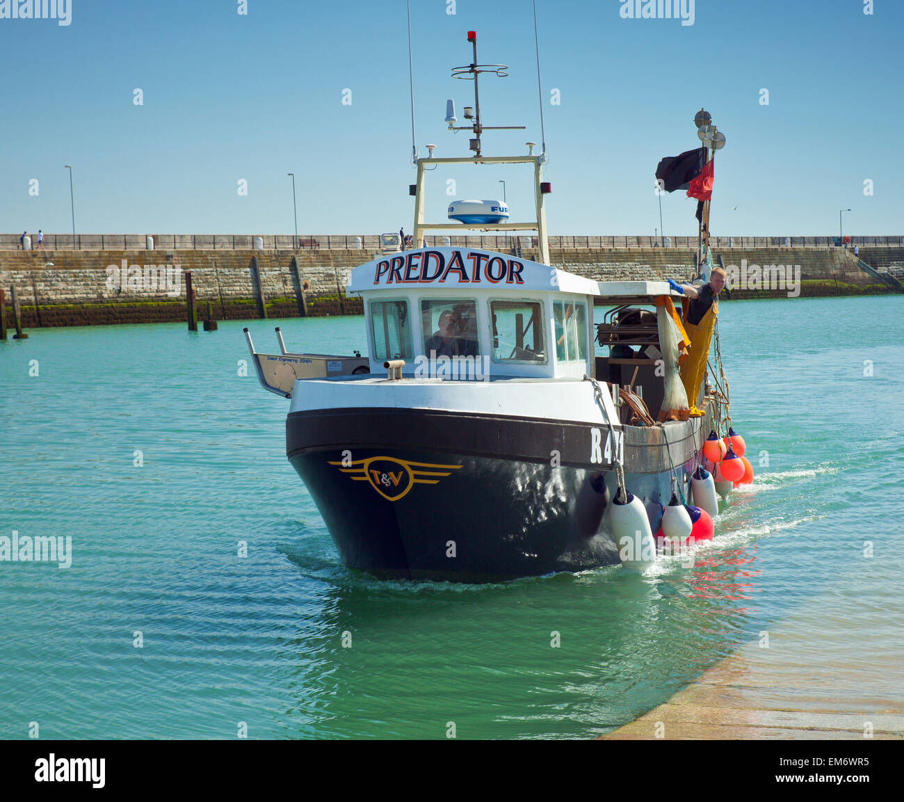Predator Fischerboot kehrt zurück, um mit einer Fangmenge von Wellhornschnecken, Hafen (für den Export nach Japan & Korea fällig). Stockfoto