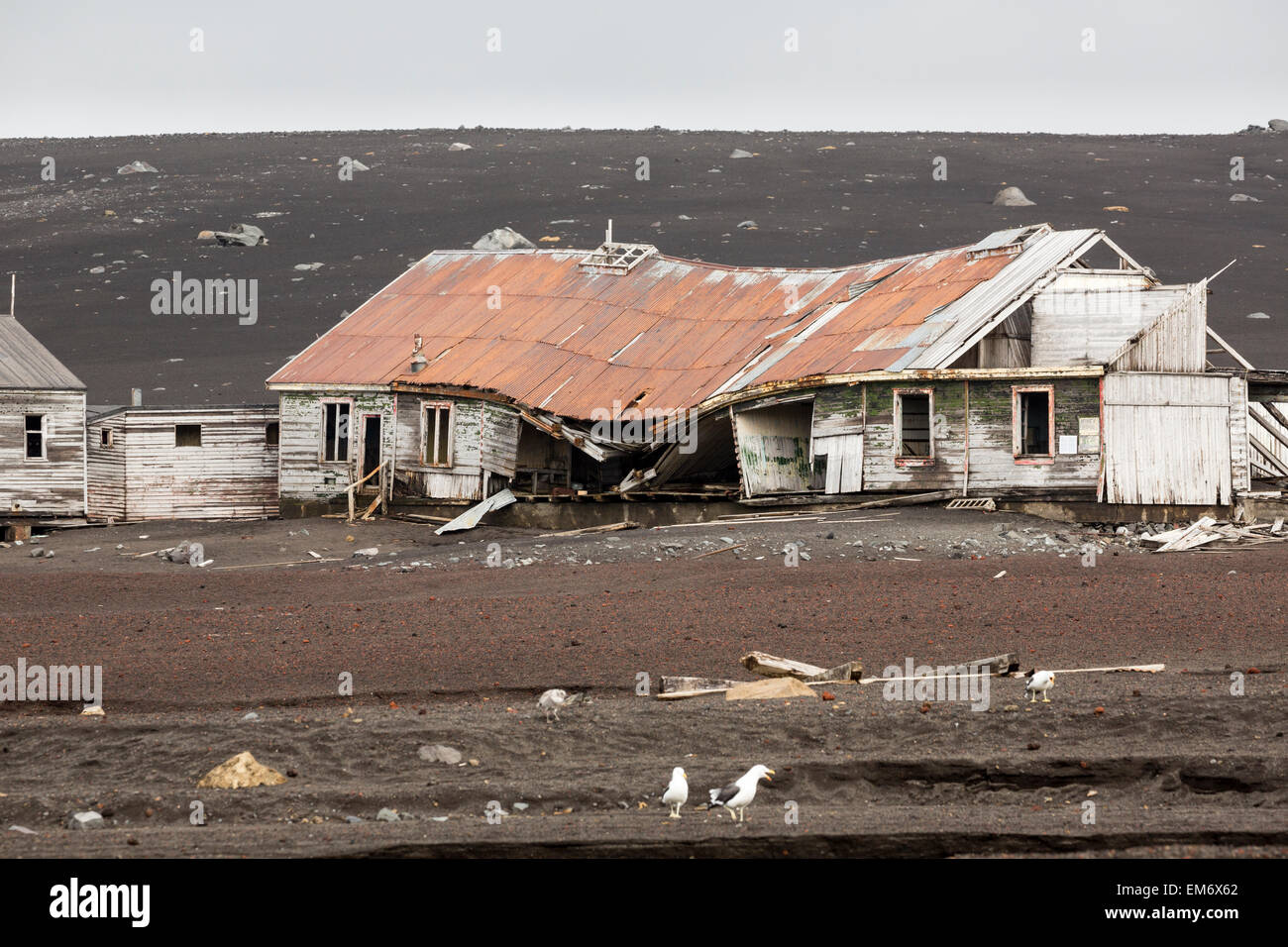 Hausruine, Whaler es Bay, Deception Island, Antarktis Stockfoto