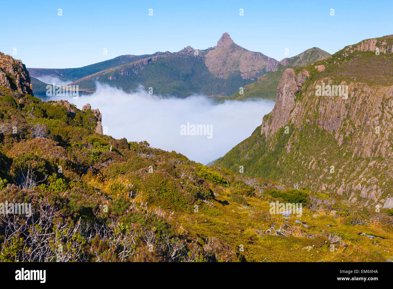 Pindars Peak - Southwest-Nationalpark - Tasmanien - Australien Stockfoto