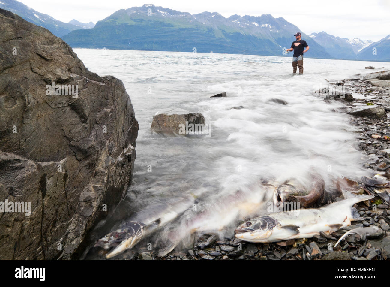 Ein Mann fischt für Lachs in Valdez Bay, Alaska auf ein beliebtes Fanggebiet in der Nähe der Alaska-Pipeline-Terminal. Stockfoto