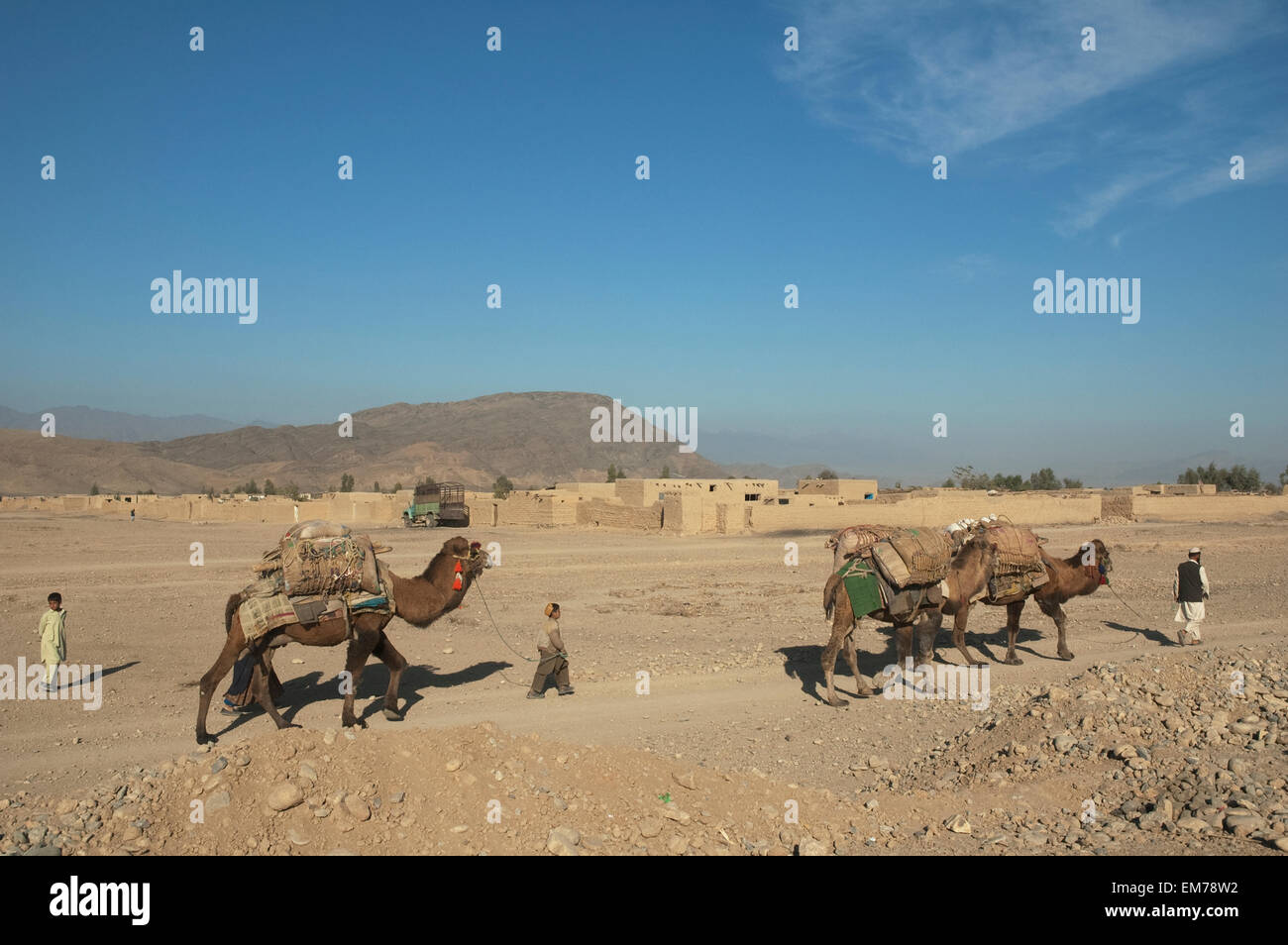 Kuchi-Nomaden und ihren Kamelen auf die Torkham nach Jalalabad Road, Provinz Nangarhar, Afghanistan Stockfoto