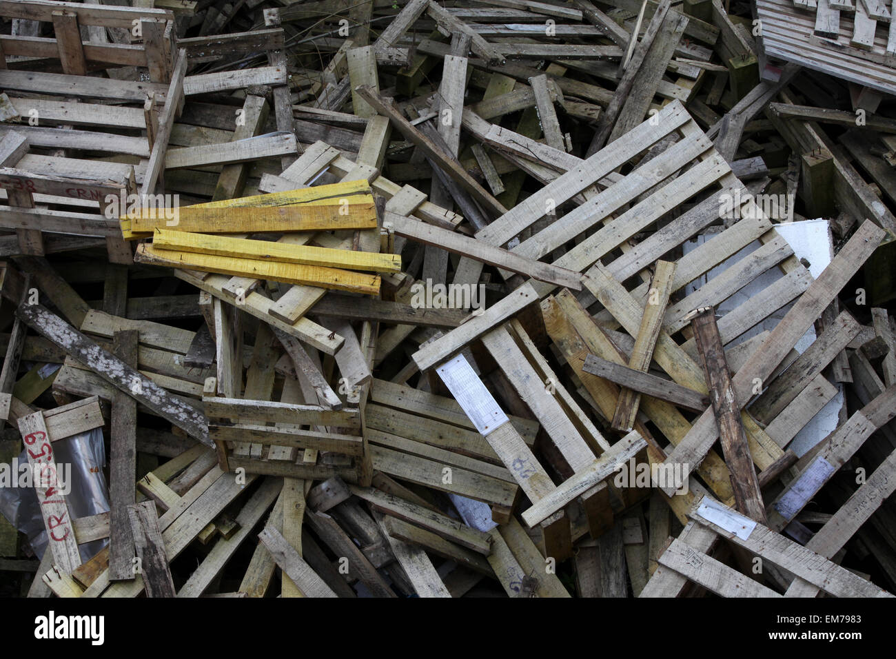 Haufen von gebrochenen bewaldeten Paletten Stockfoto