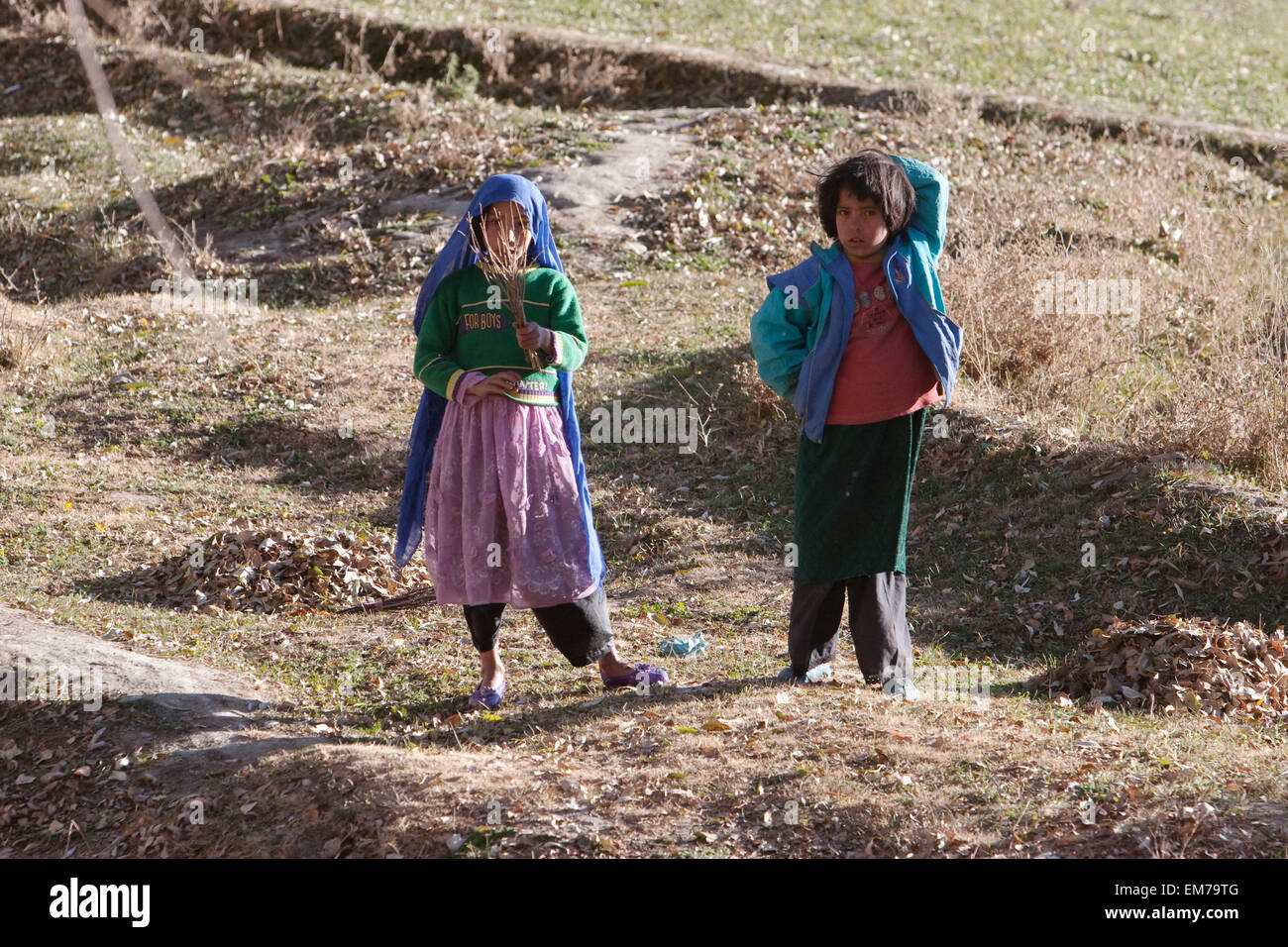 Afghanische Mädchen In einem Feld in der Nähe von Kharwalang, Vardak Provinz, Afghanistan Stockfoto