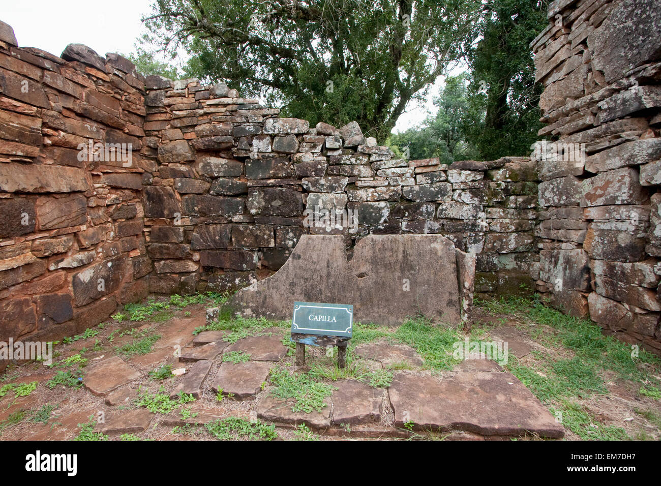 Peter, Langer, Argentinien, Südamerika Stockfoto