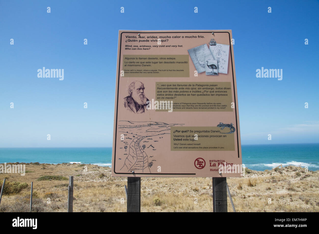 Erklärende Zeichen verweisen auf Charles Darwin, Halbinsel Valdes, Chubut, Argentinien Stockfoto