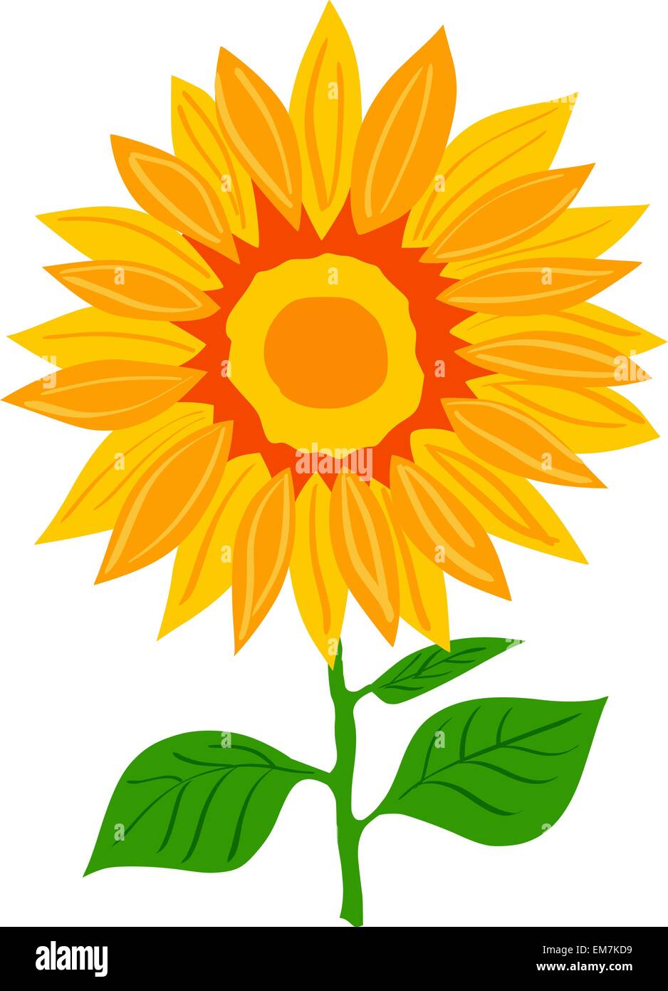 Sonnenblume Stock Vektor
