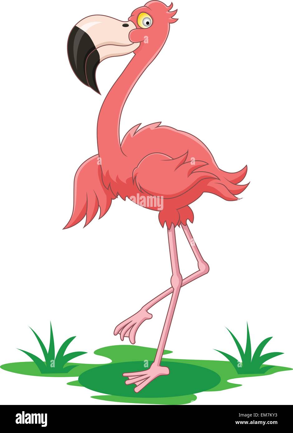 Flamingo cartoon illustration Fotos und Bildmaterial in hoher