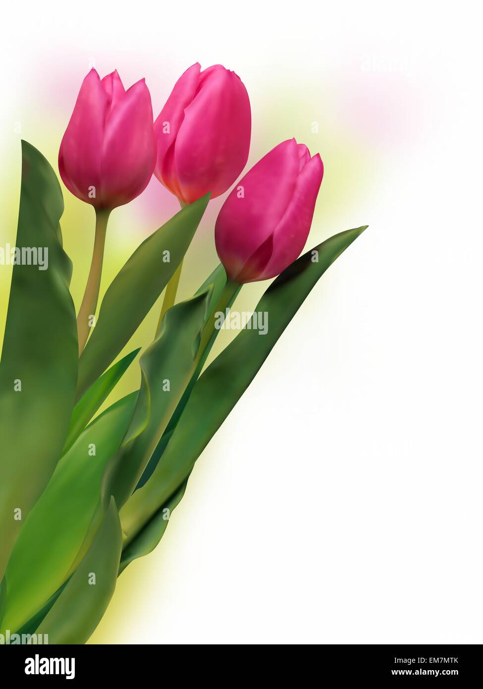 Bouquet von frischen Tulpen Stock Vektor
