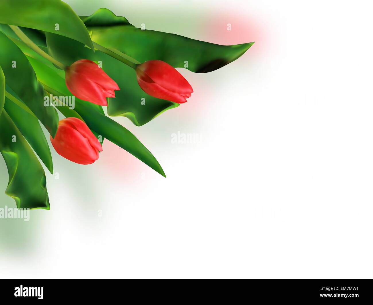 Bouquet von roten Tulpen Frühling. Stock Vektor