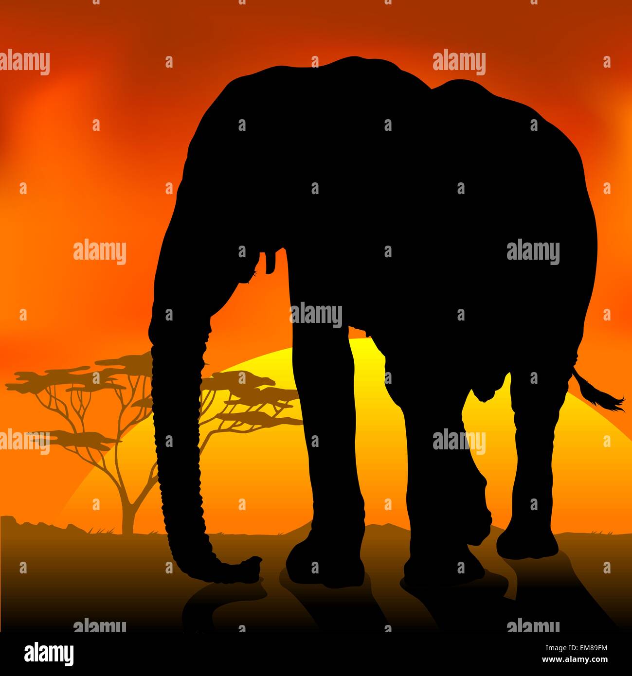Elefant-Silhouette-Sonnenuntergang Stock Vektor